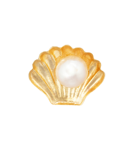 Concha perla