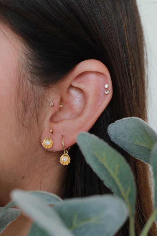 Arracada Concha perla